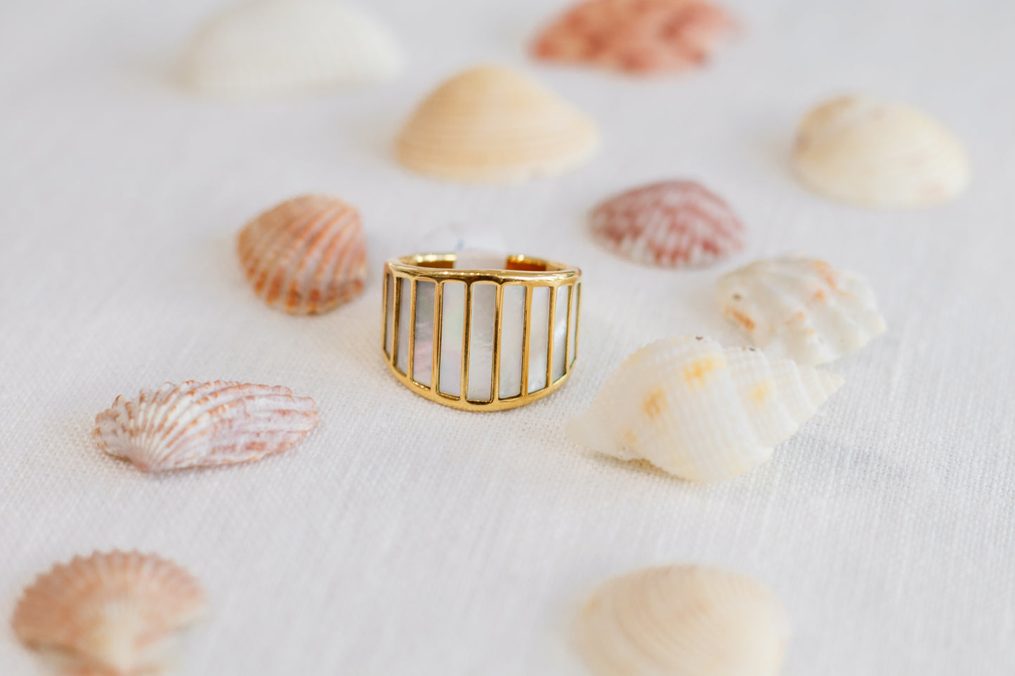 Ocean Ring