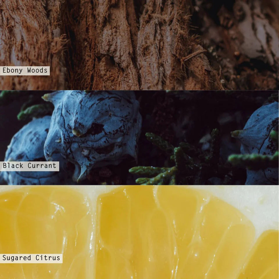 Three swatches labeled 'Ebony Woods', 'Black Currant', and 'Sugared Citrus' with corresponding color names.