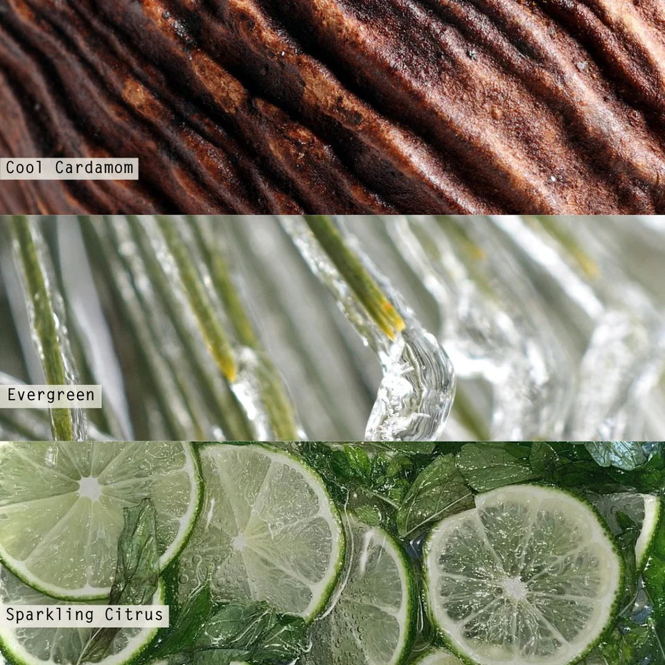 Collage of cardamom, evergreen, and lime slices with descriptive text.