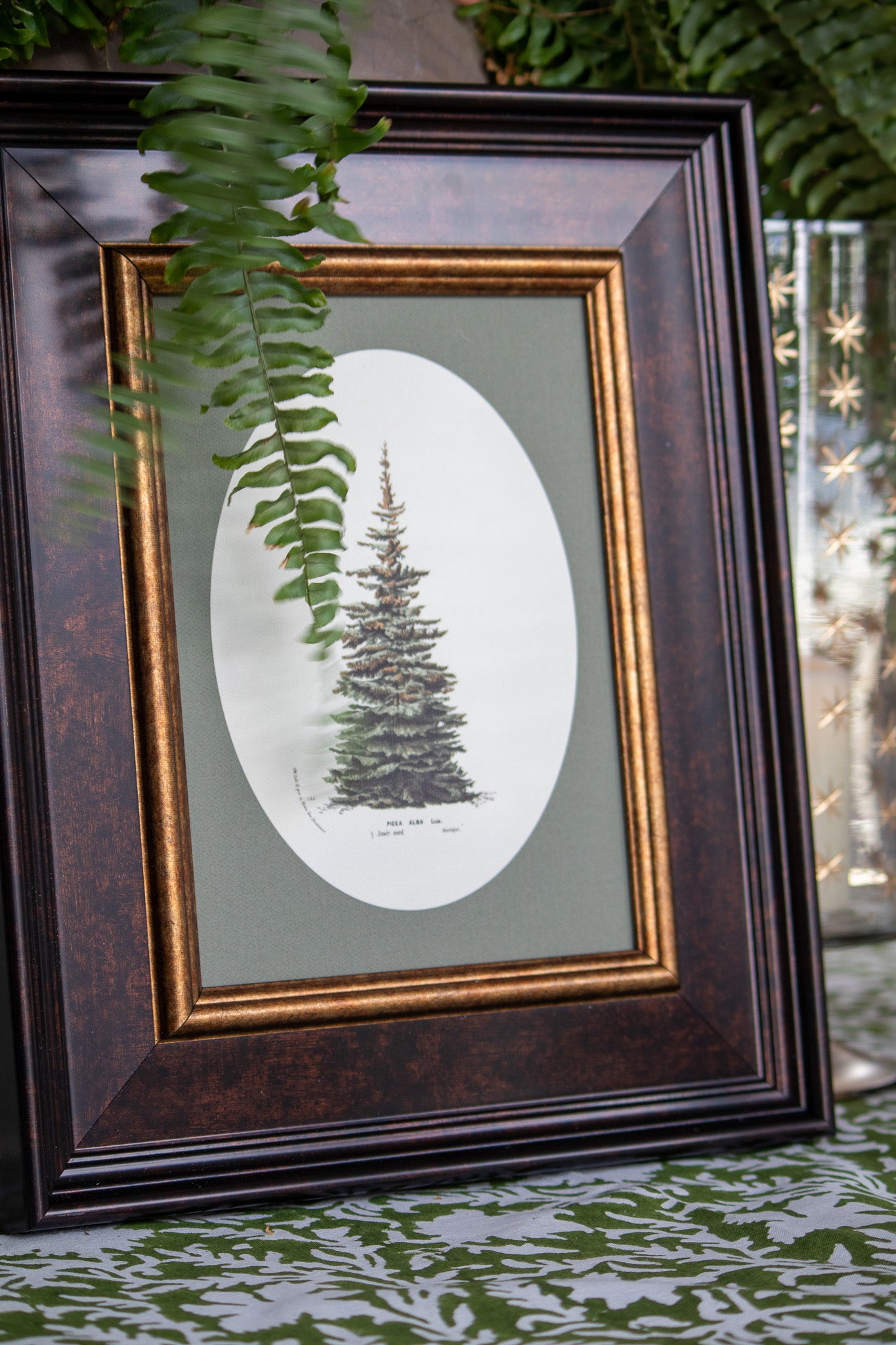 Framed artwork of a pine tree on a light green background