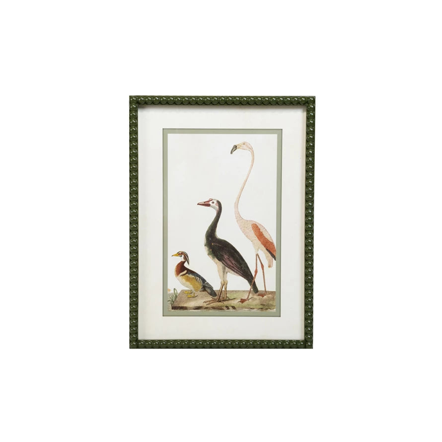 Framed Vintage Bird Print with Green Bobbin Frame