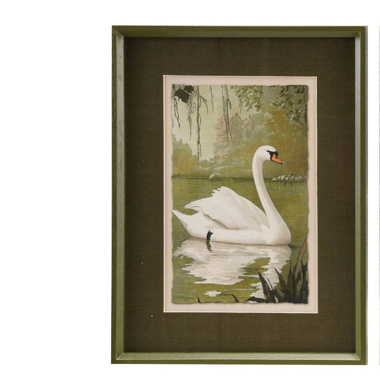 Swan on the Lake Framed Print