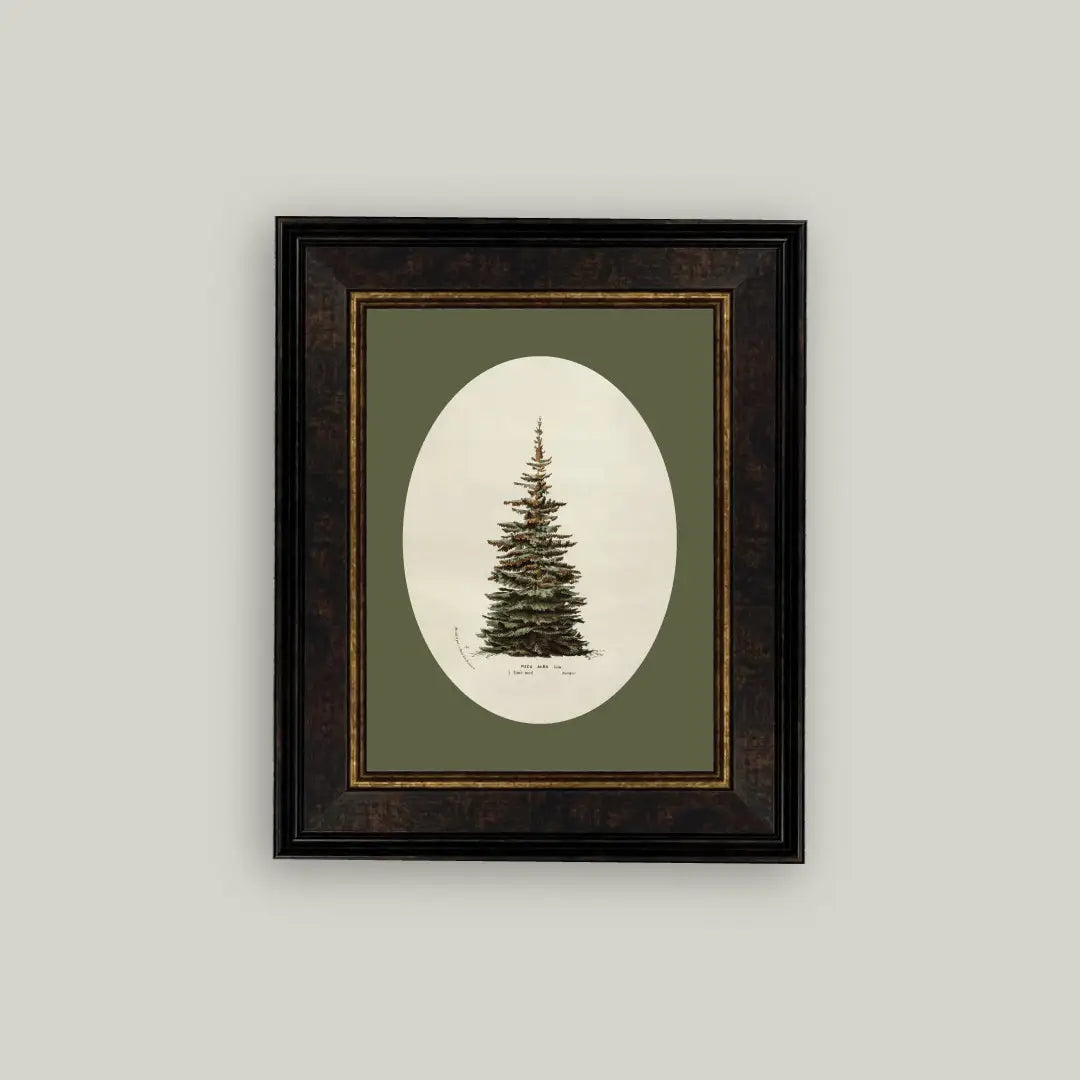 Framed artwork of a pine tree on a green background