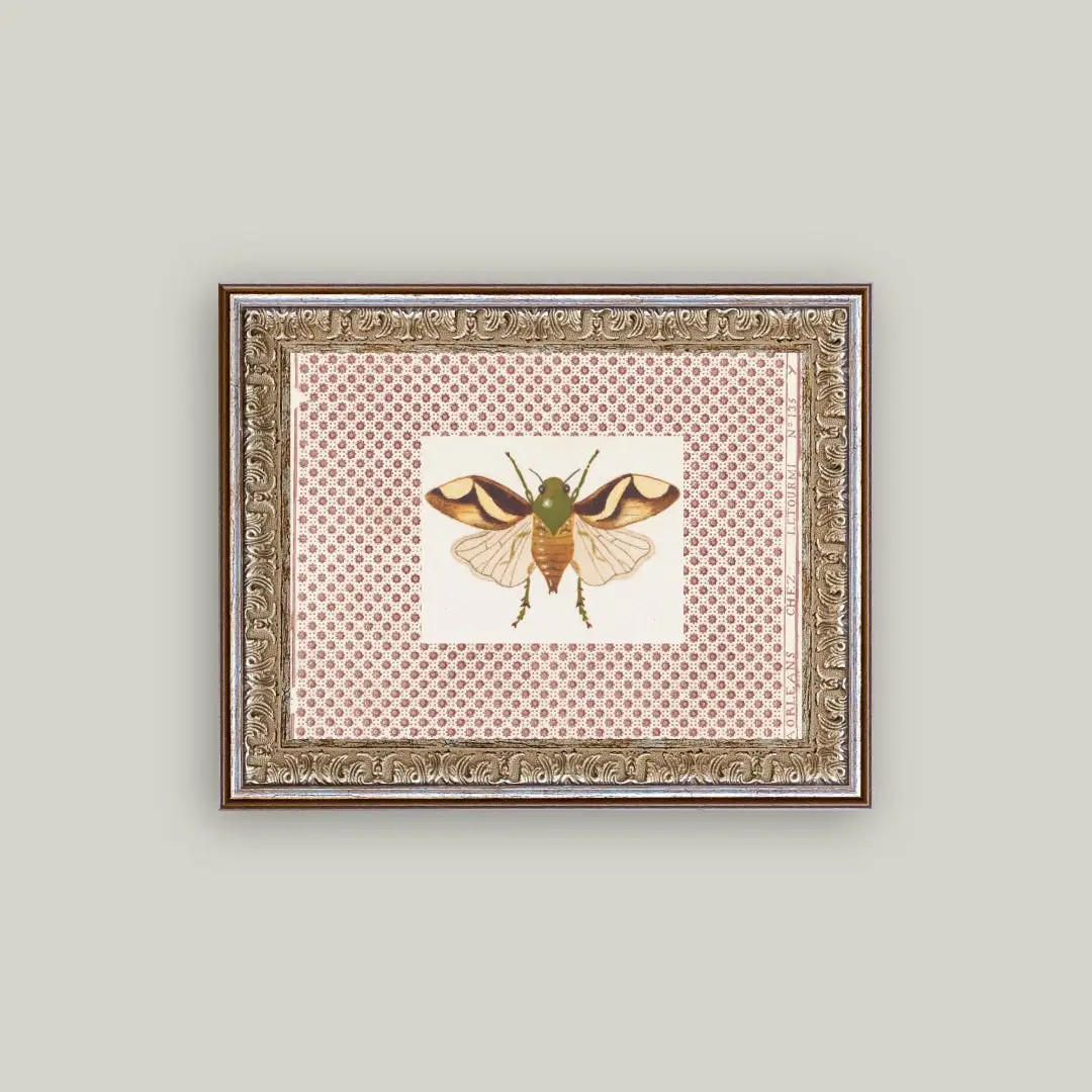 Beetle Moth Artwork