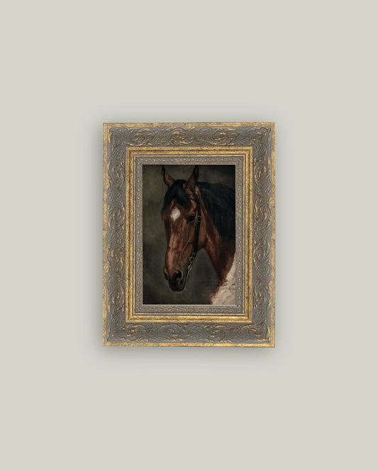Horse Portrait Framed Antique Artwork