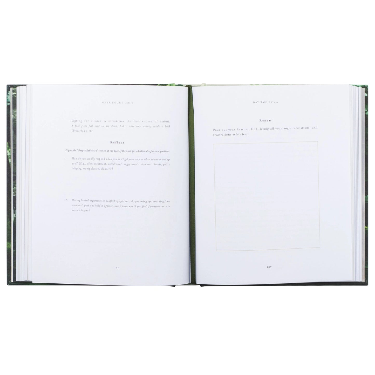 Unfold Bible Study