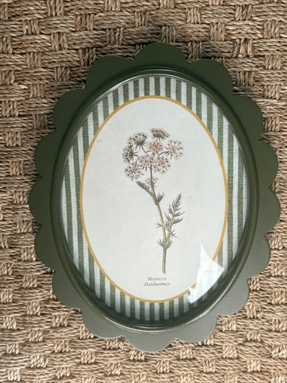Scalloped Botanical Wall Art | 9 Styles