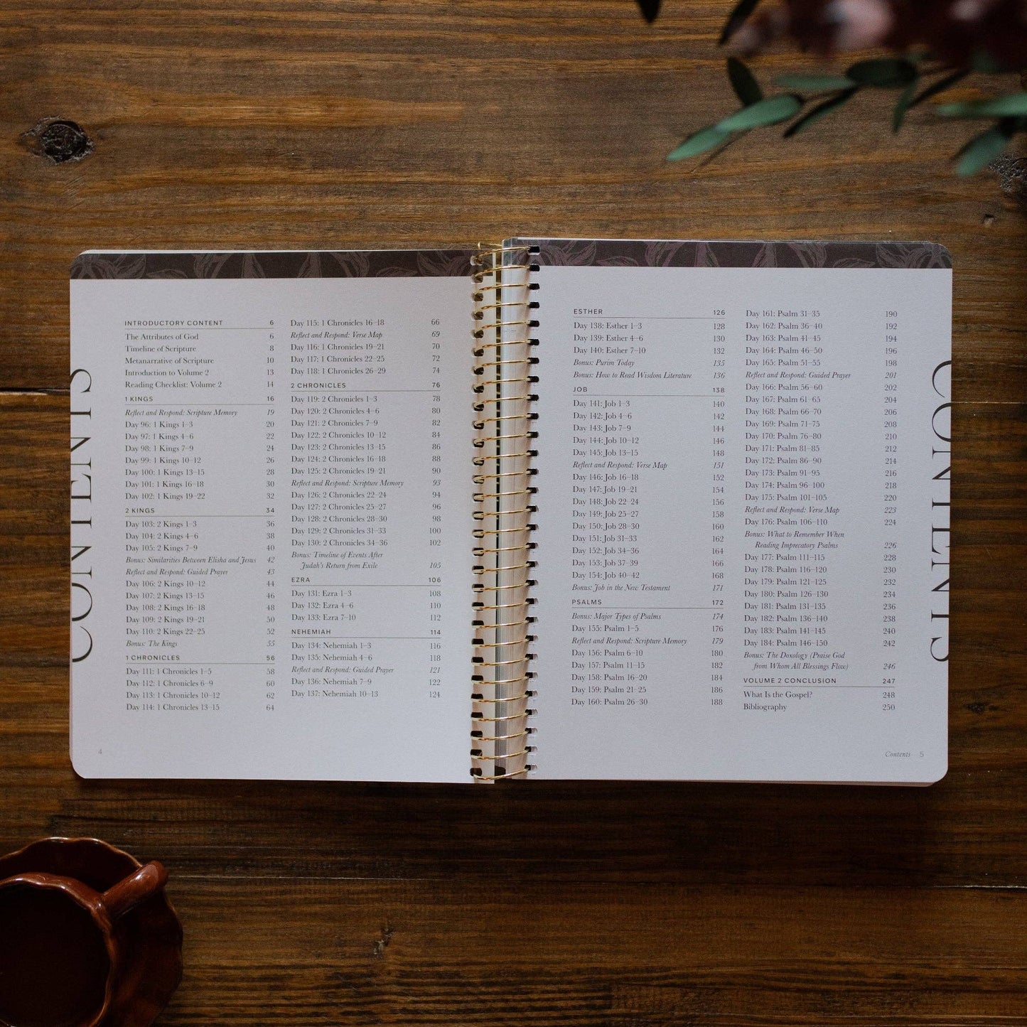 A Year in the Bible | Volume 2 | 365 Days of Discovering the Beauty of Jesus from Genesis to Revelation