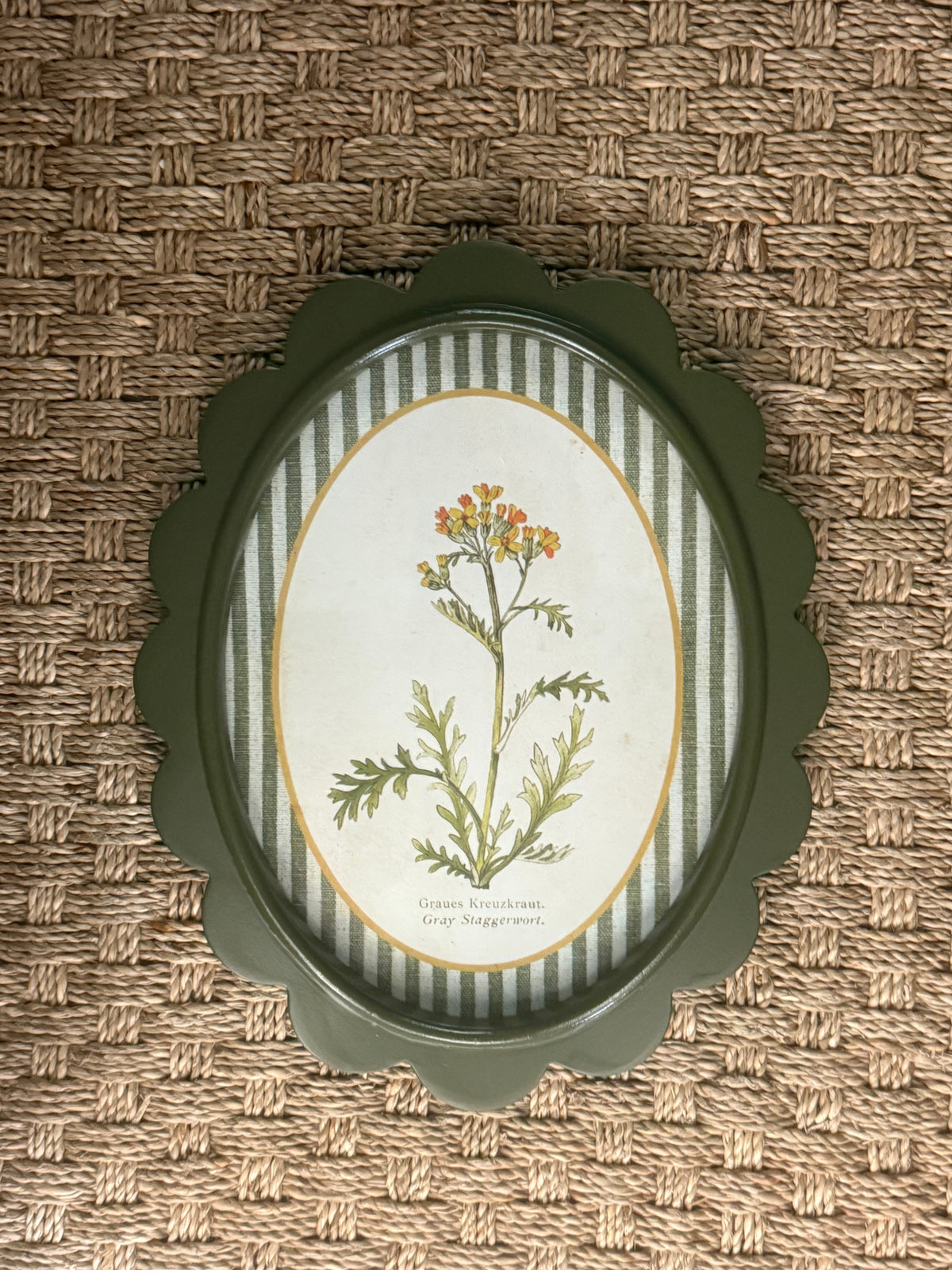 Scalloped Botanical Wall Art | 9 Styles