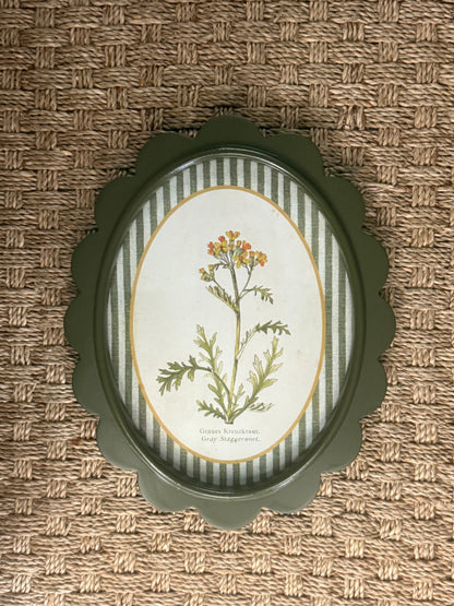 Scalloped Botanical Wall Art | 9 Styles
