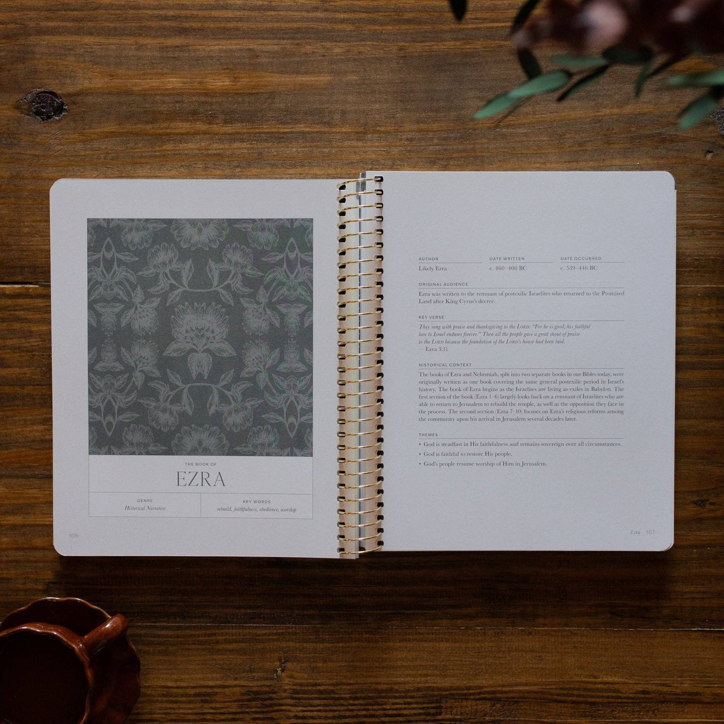 A Year in the Bible | Volume 2 | 365 Days of Discovering the Beauty of Jesus from Genesis to Revelation