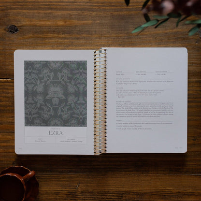 A Year in the Bible | Volume 2 | 365 Days of Discovering the Beauty of Jesus from Genesis to Revelation