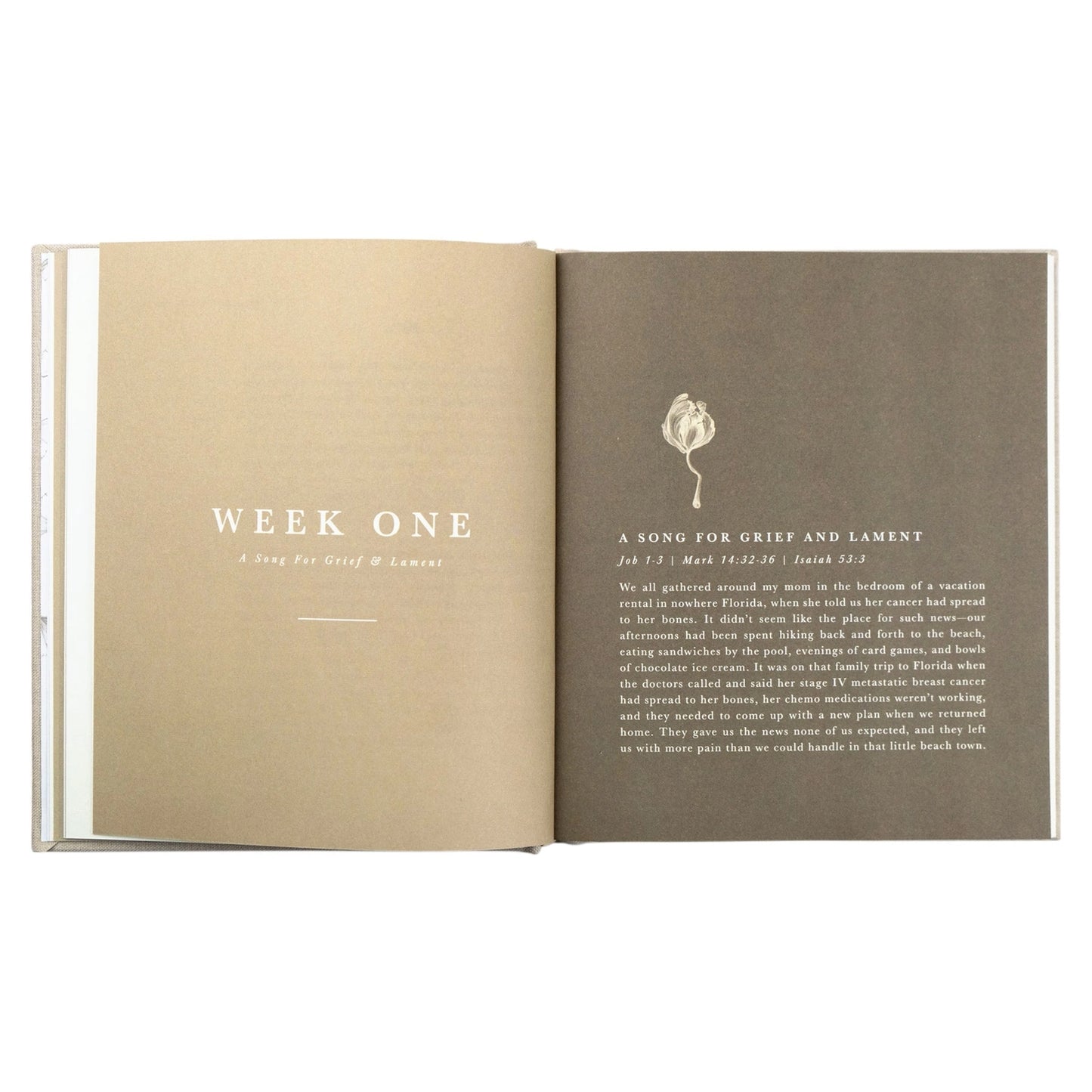 Songs For the Suffering Bible Study