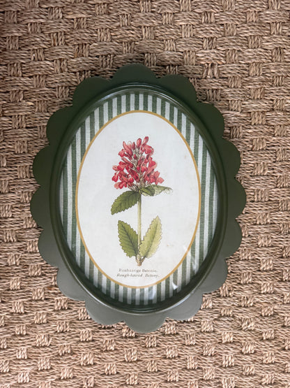 Scalloped Botanical Wall Art | 9 Styles