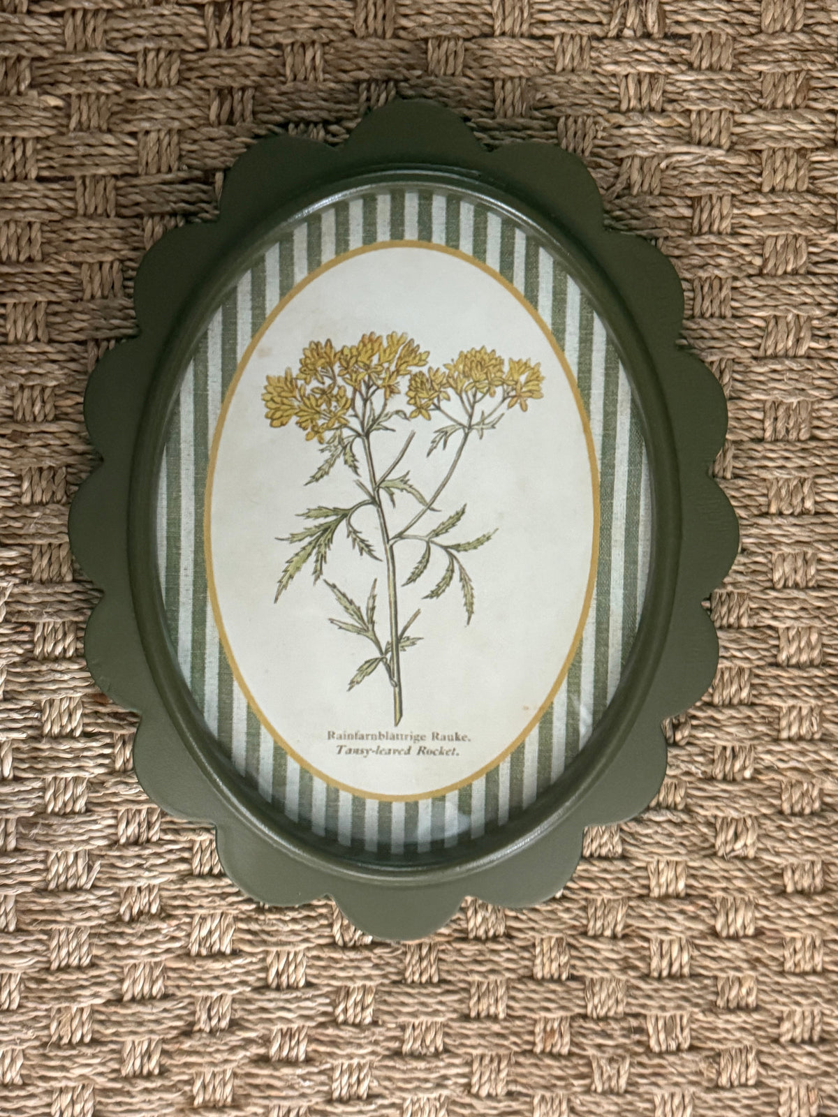 Scalloped Botanical Wall Art | 9 Styles