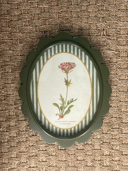 Scalloped Botanical Wall Art | 9 Styles