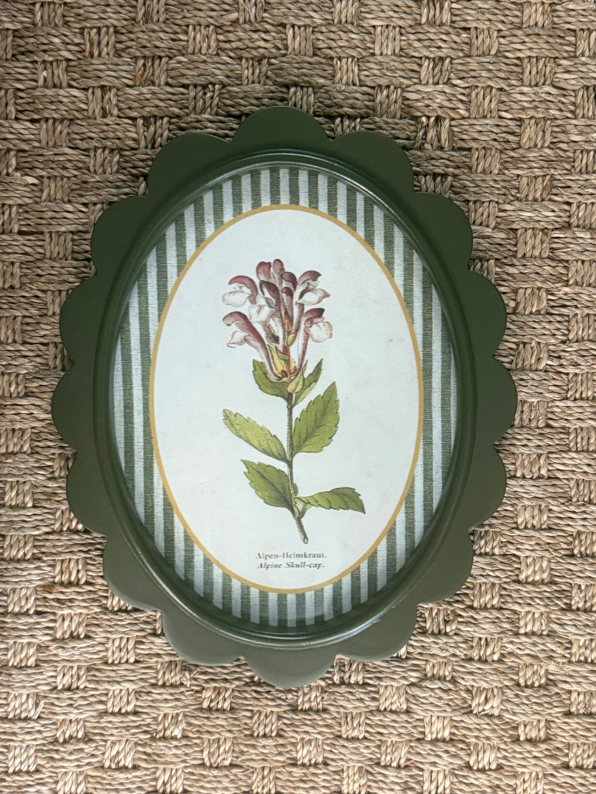 Scalloped Botanical Wall Art | 9 Styles