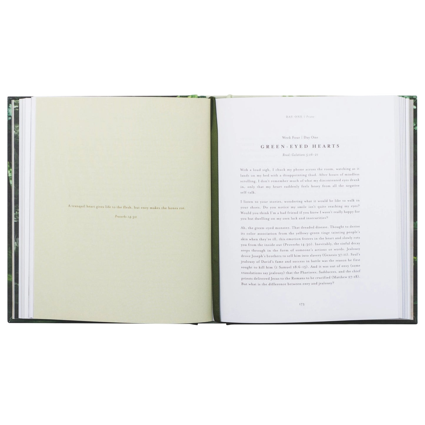 Unfold Bible Study