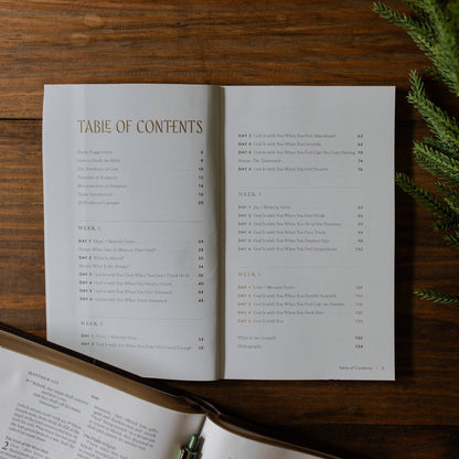 Open book with a table of contents on a wooden surface