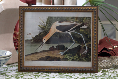 Framed Vintage Waterbird Linen Print in beaded frame