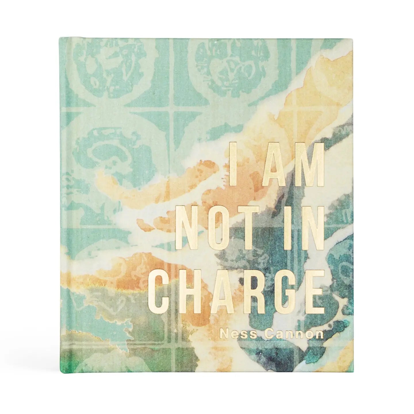 I Am Not In Charge Bible Study