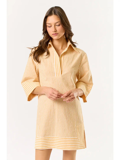 Sun kissed Striped Dress