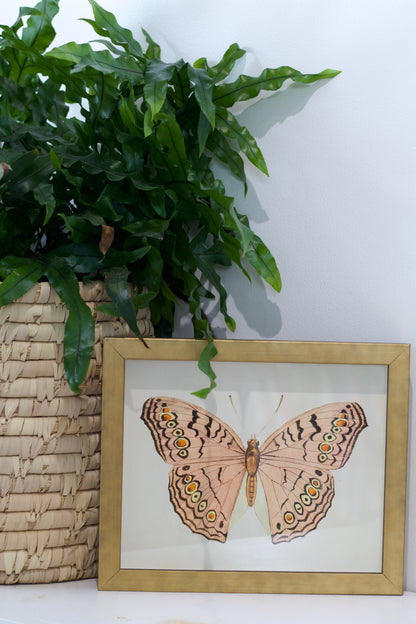 Pink Butterfly Print in Gold Frame