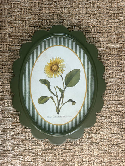 Scalloped Botanical Wall Art | 9 Styles