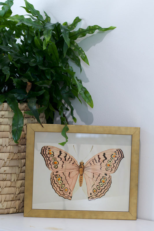 Pink Butterfly Print in Gold Frame