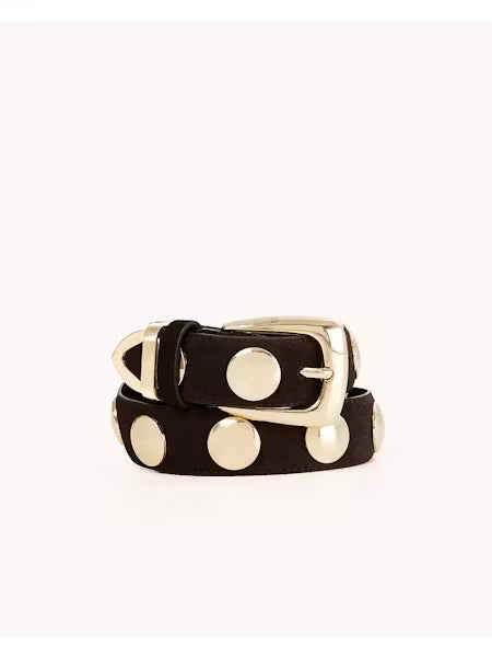 The Bailey Dark Cacao Studded Belt