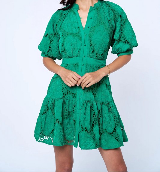 Woman wearing a green lace dress against a white background