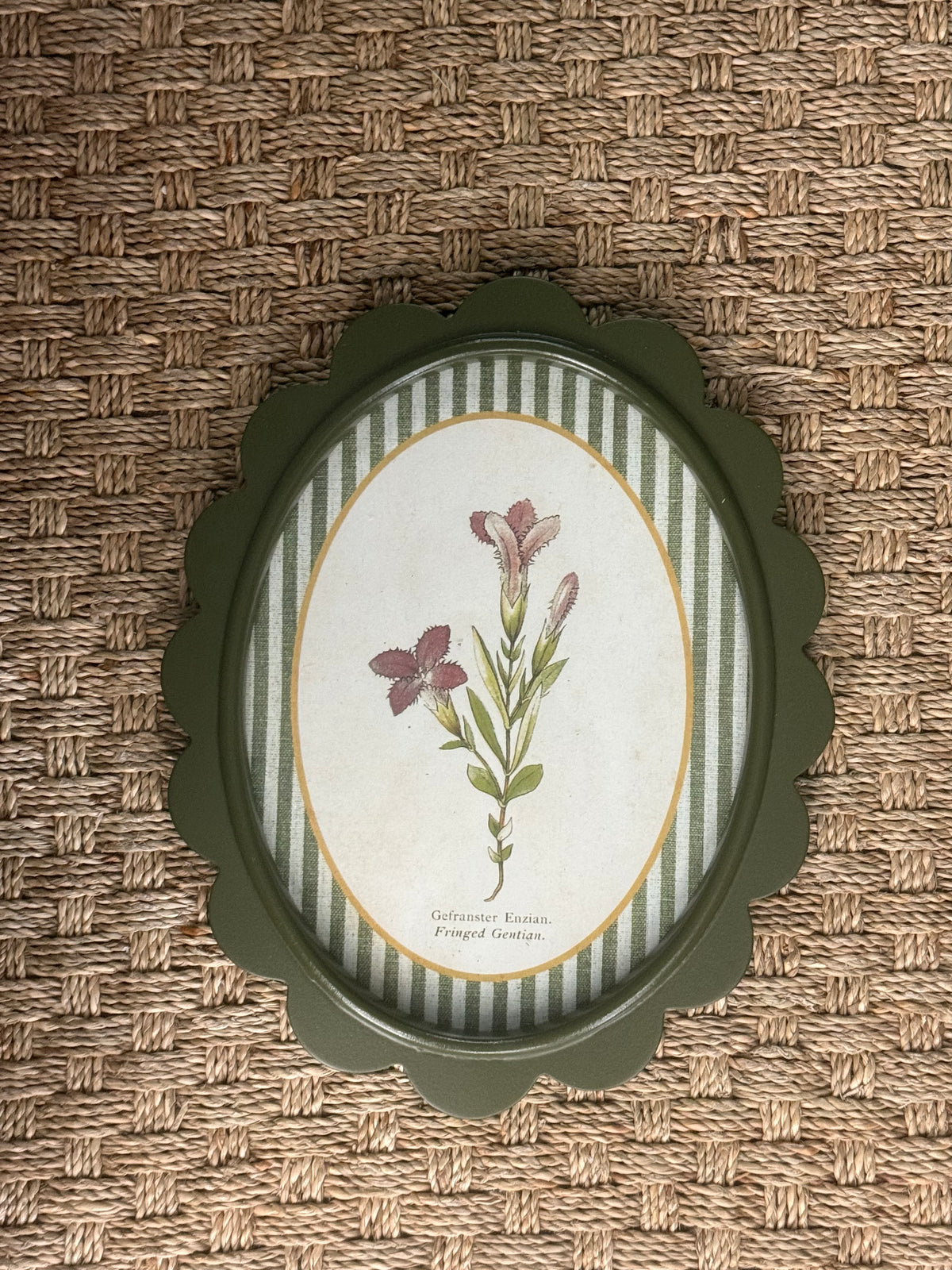 Scalloped Botanical Wall Art | 9 Styles