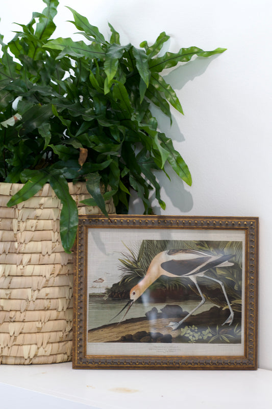 Framed Vintage Waterbird Linen Print in beaded frame