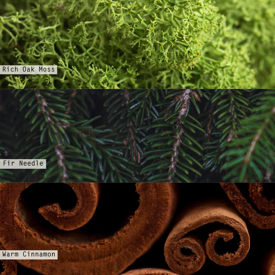 Three different textures labeled 'Rich Oak Moss', 'Fir Needle', and 'Warm Cinnamon'.