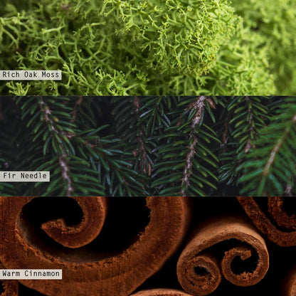 Three different textures labeled 'Rich Oak Moss', 'Fir Needle', and 'Warm Cinnamon'.