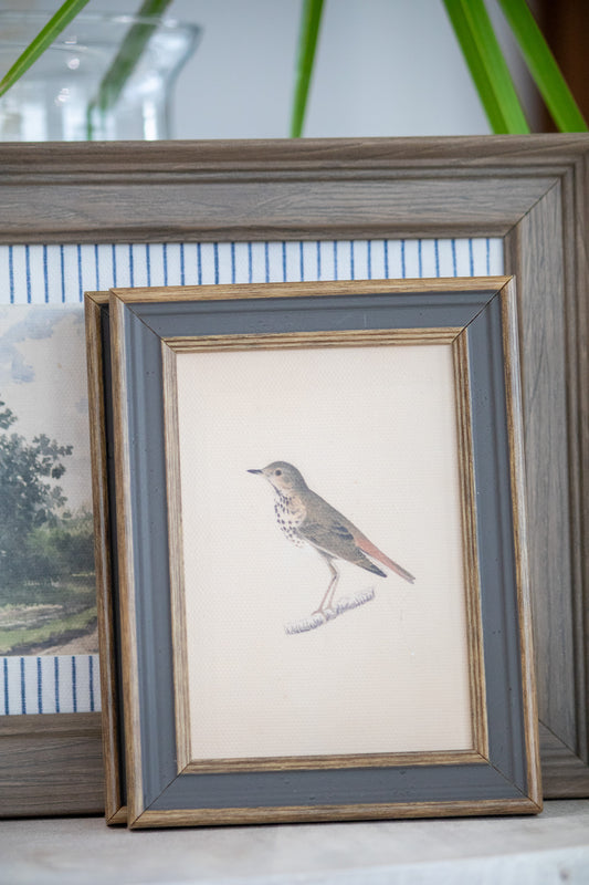 Framed artwork of a bird on a neutral background