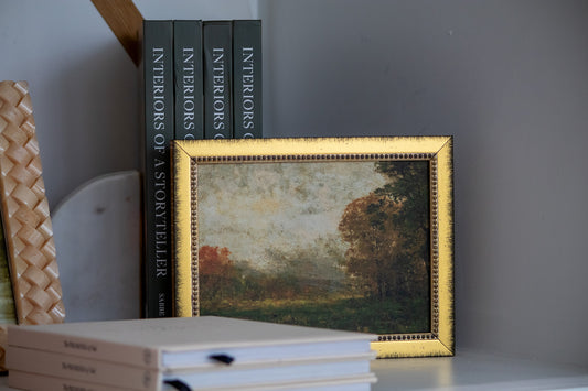 Framed painting of a landscape on a shelf with books