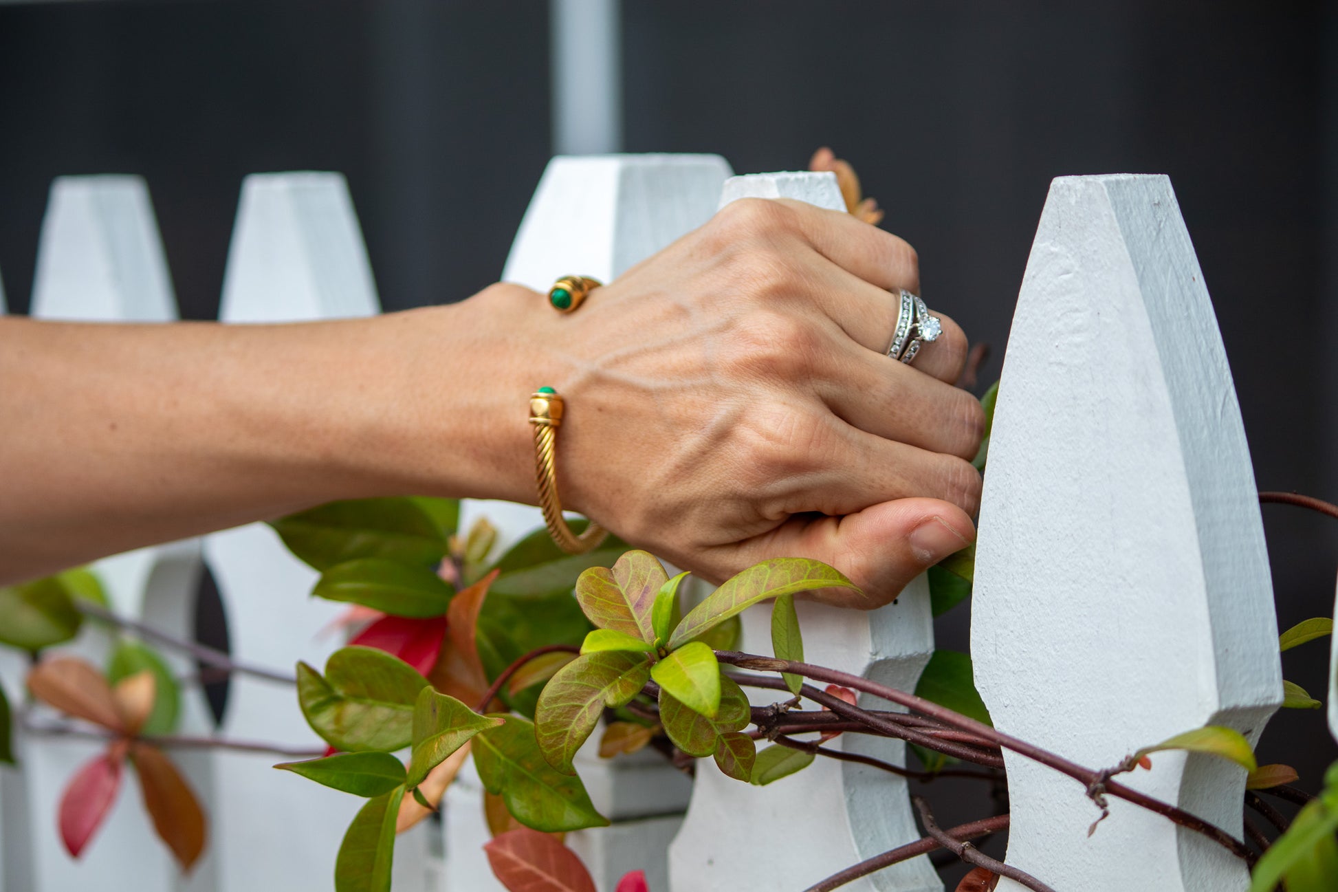 Person's hands holding a plant with white decorative elements in the background