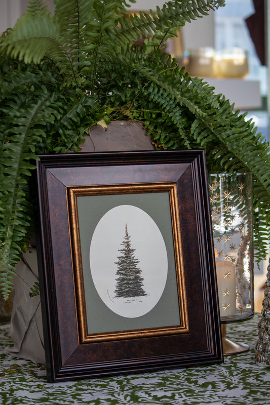 Framed artwork of a tree on a table with ferns in the background