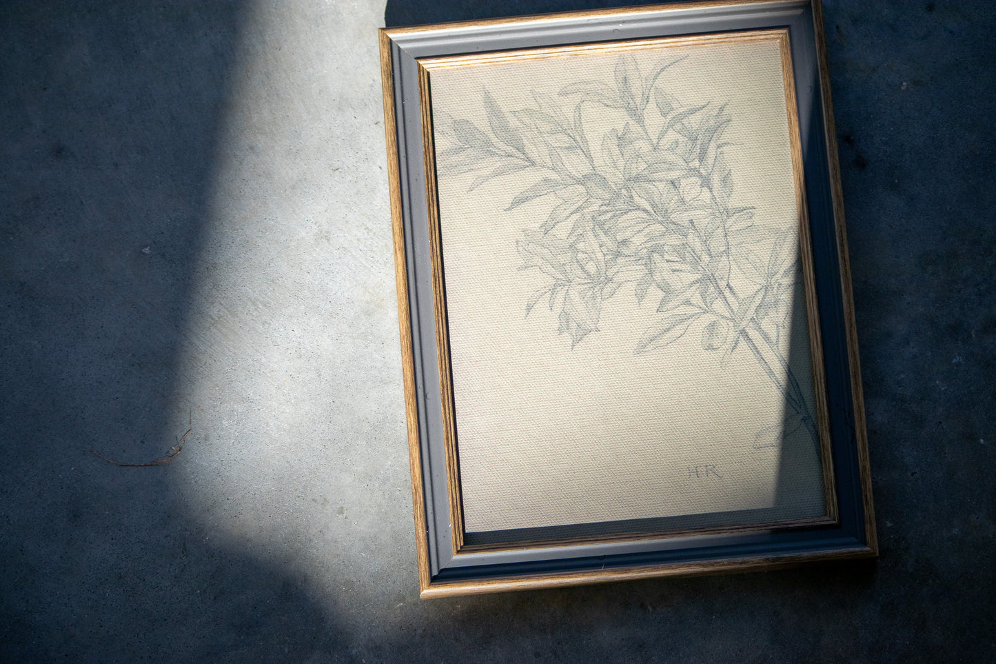 Framed botanical drawing on a textured surface