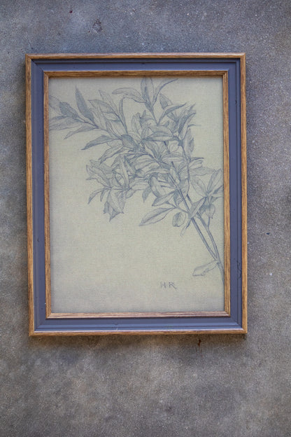 Framed botanical drawing on a textured wall