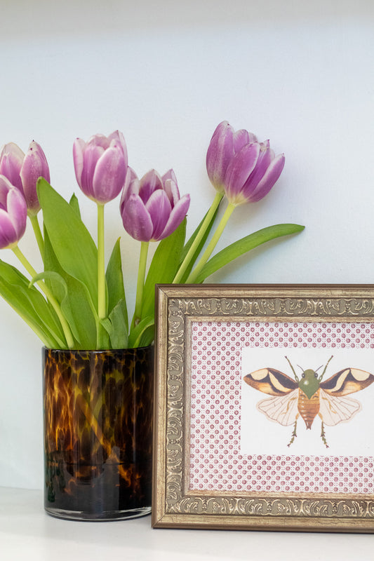 Beetle Moth Artwork