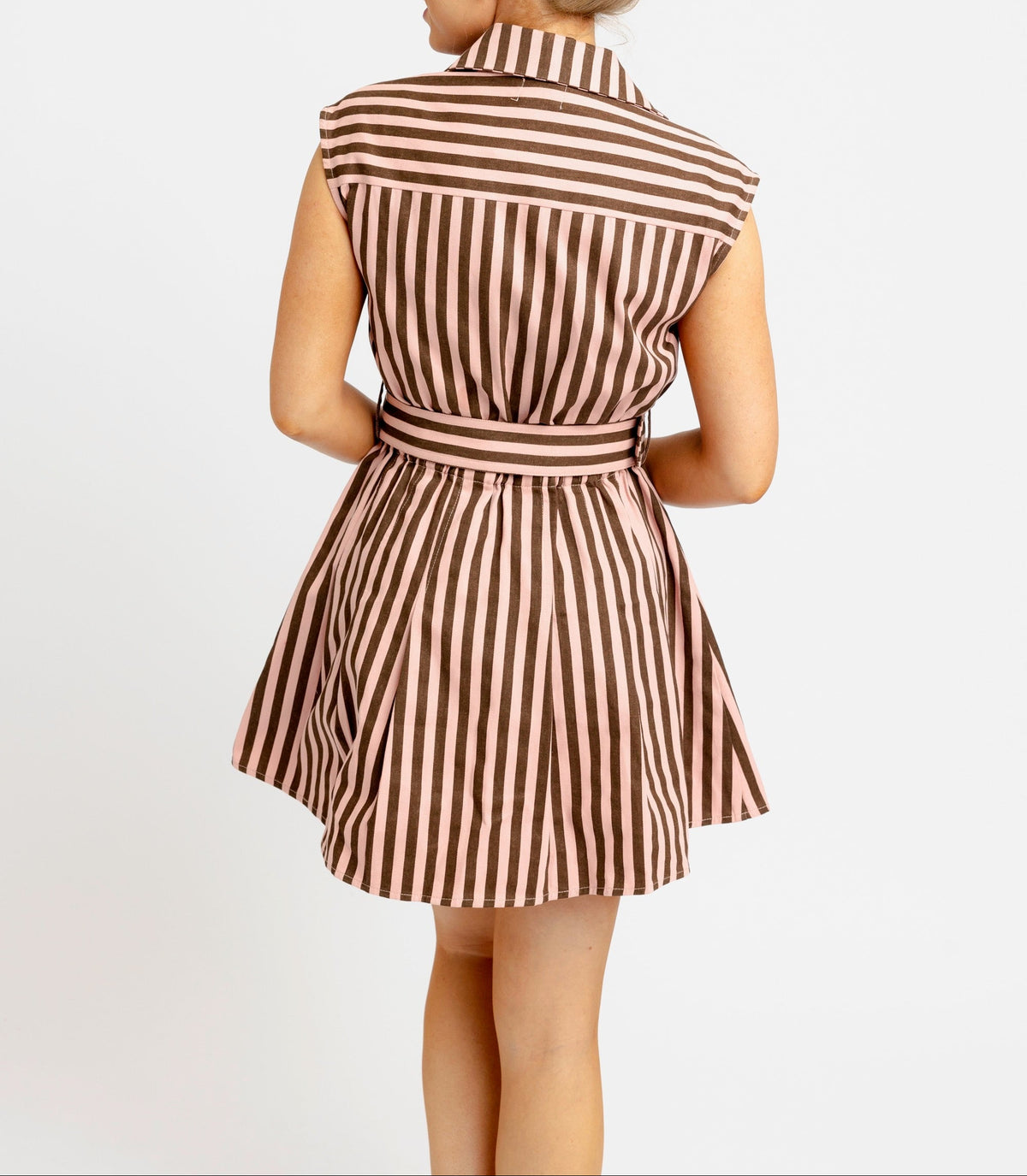Rosewood Stripe Belted Dress