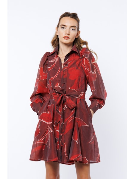 Crimson Bloom Dress
