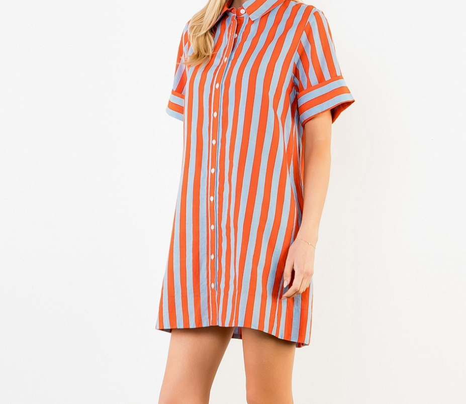 Market Stripe Button Front Dress