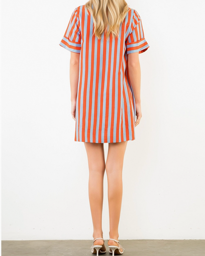 Market Stripe Button Front Dress