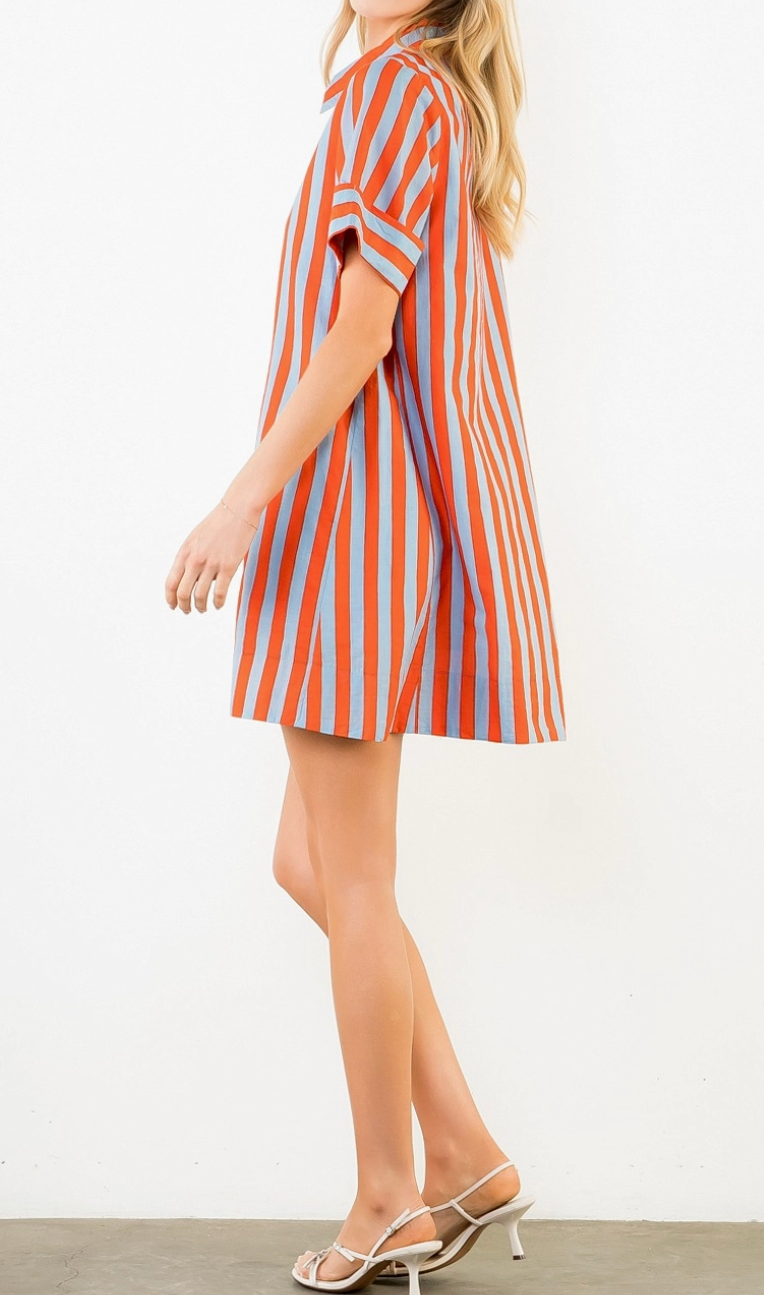 Market Stripe Button Front Dress