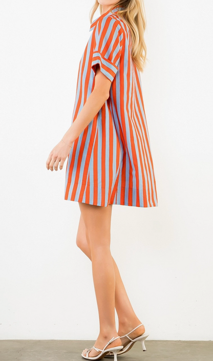 Market Stripe Button Front Dress