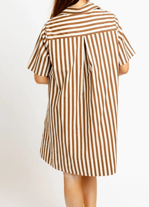 A woman wearing a brown and white vertically striped short-sleeve shirt dress, shown from the back against a plain white background.
