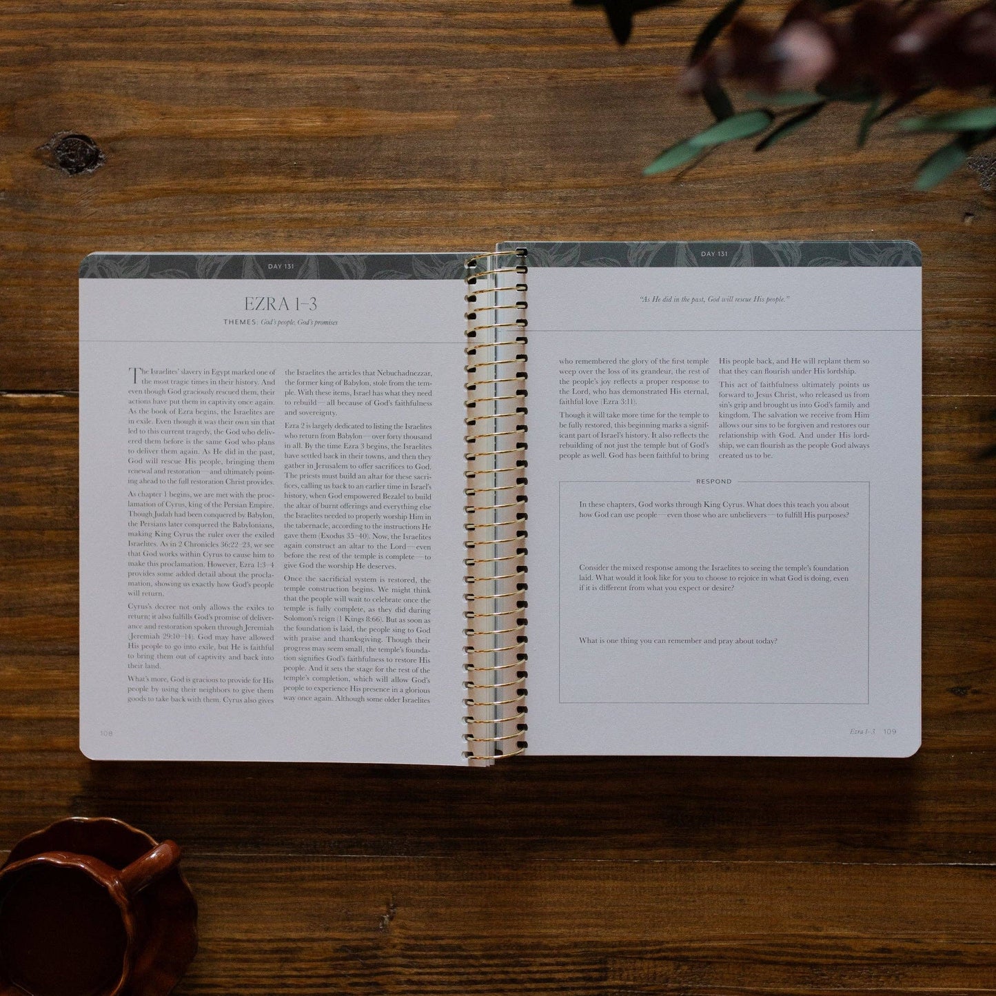 A Year in the Bible | Volume 2 | 365 Days of Discovering the Beauty of Jesus from Genesis to Revelation